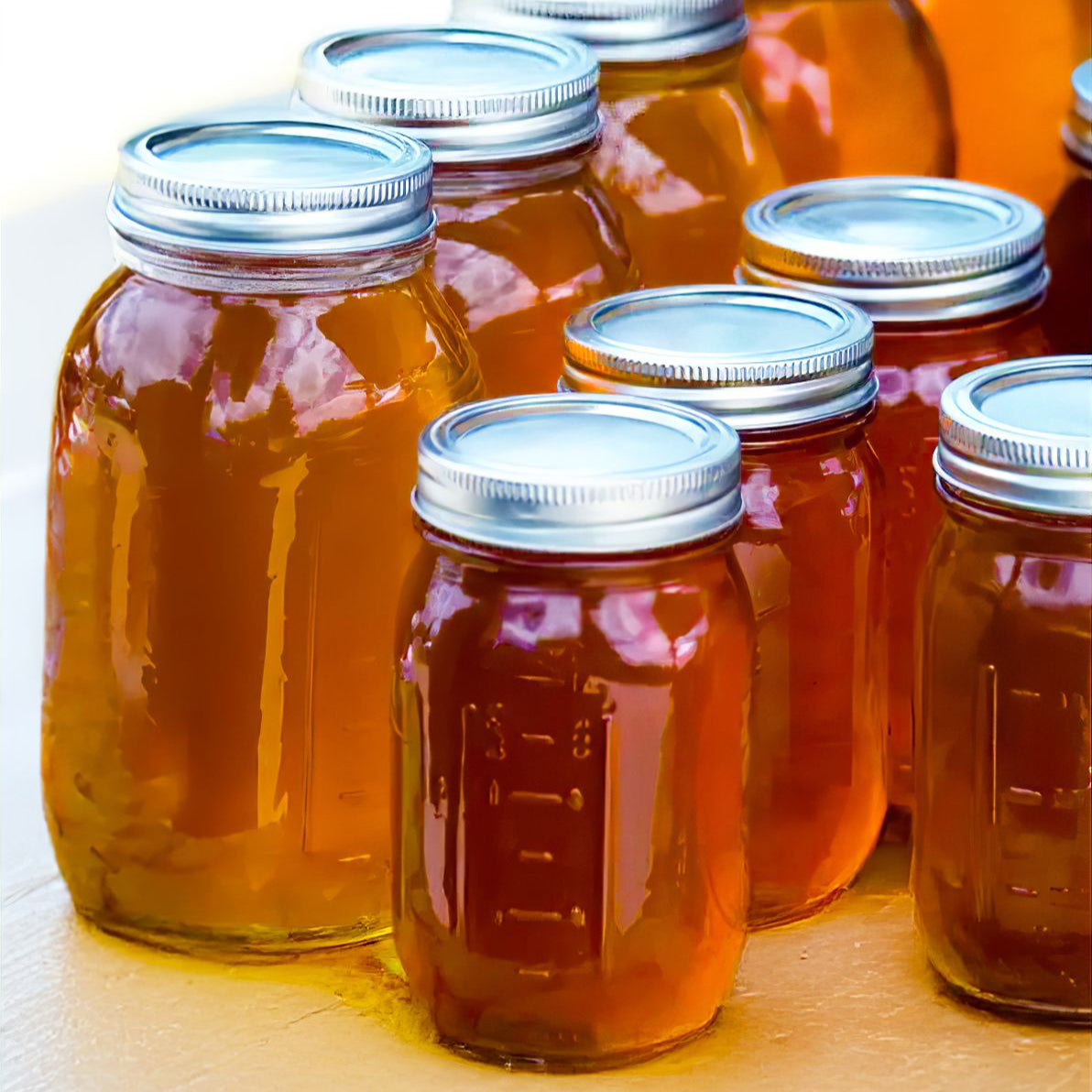 Wildflower Honey - 1 Qt